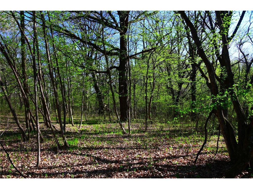 28329 orchard Drive Moran Twp MN 56438 7034499 image17