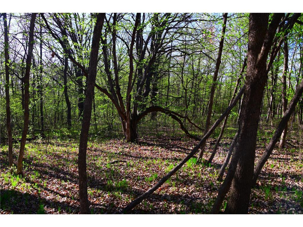 28329 orchard Drive Moran Twp MN 56438 7034499 image18