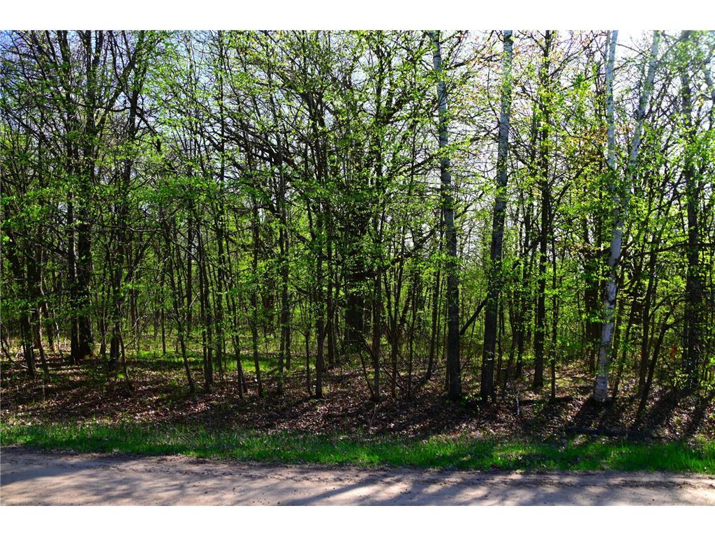 28329 orchard Drive Moran Twp MN 56438 7034499 image19