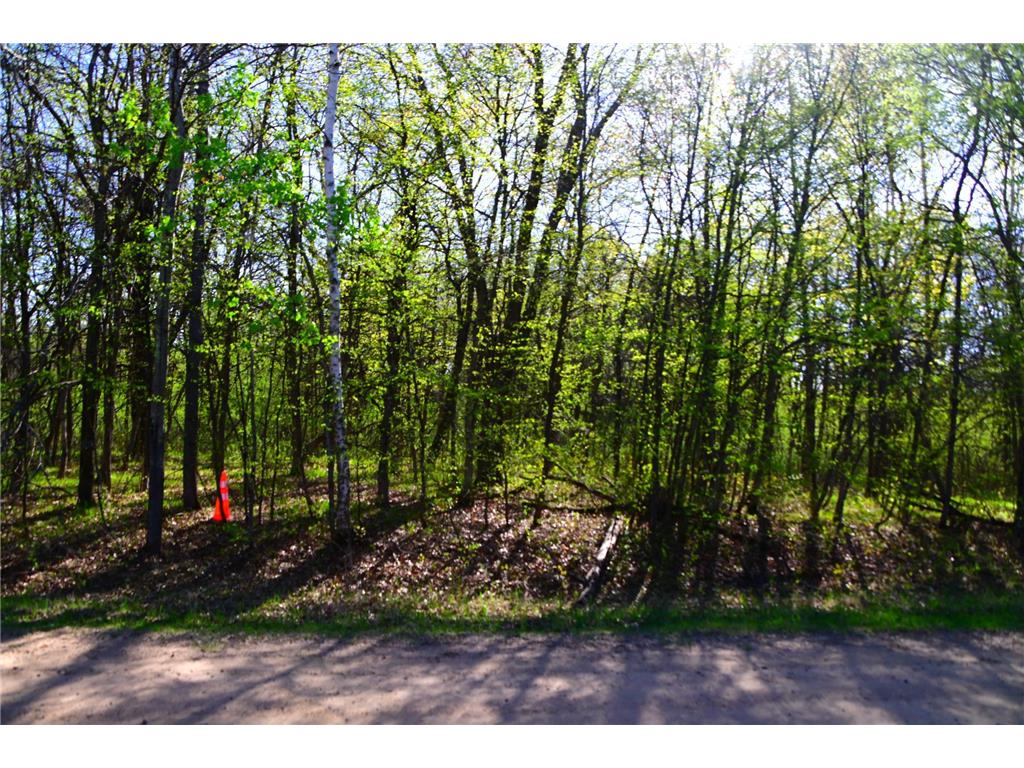 28329 orchard Drive Moran Twp MN 56438 7034499 image2