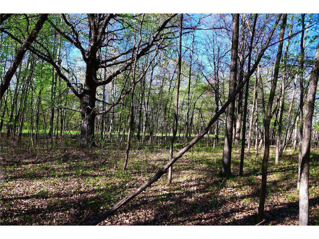 28329 orchard Drive Moran Twp MN 56438 7034499 image22
