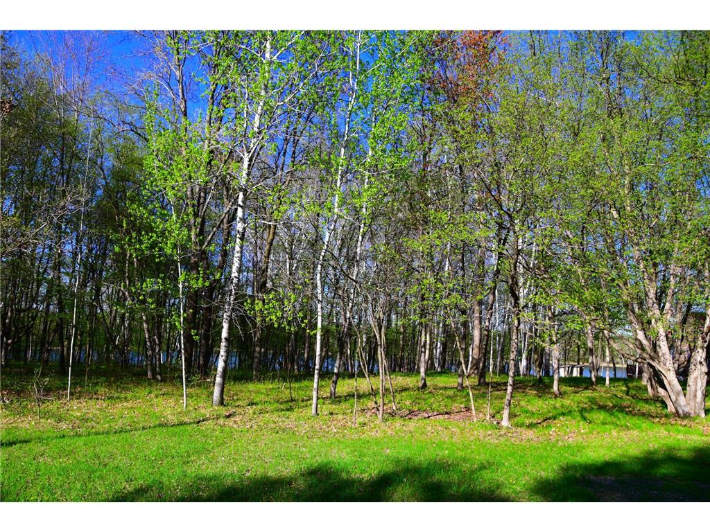 28329 orchard Drive Moran Twp MN 56438 7034499 image25