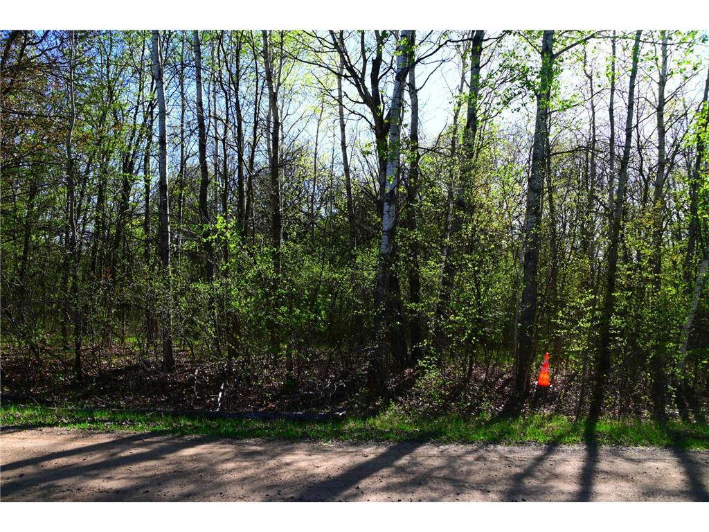 28329 orchard Drive Moran Twp MN 56438 7034499 image4