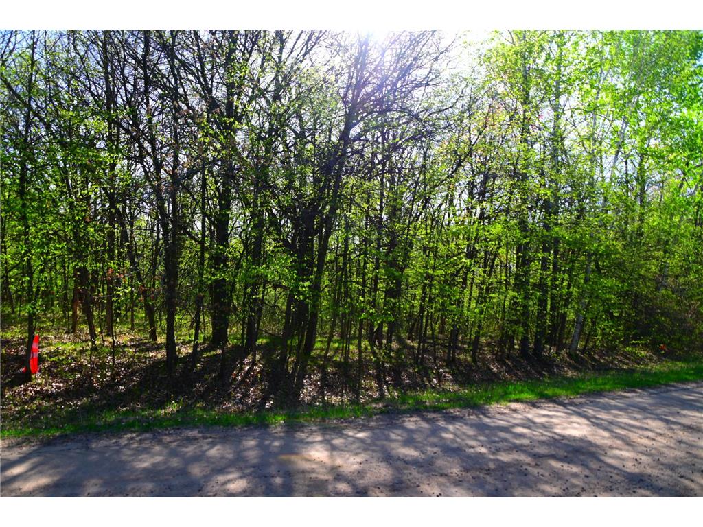 28329 orchard Drive Moran Twp MN 56438 7034499 image5