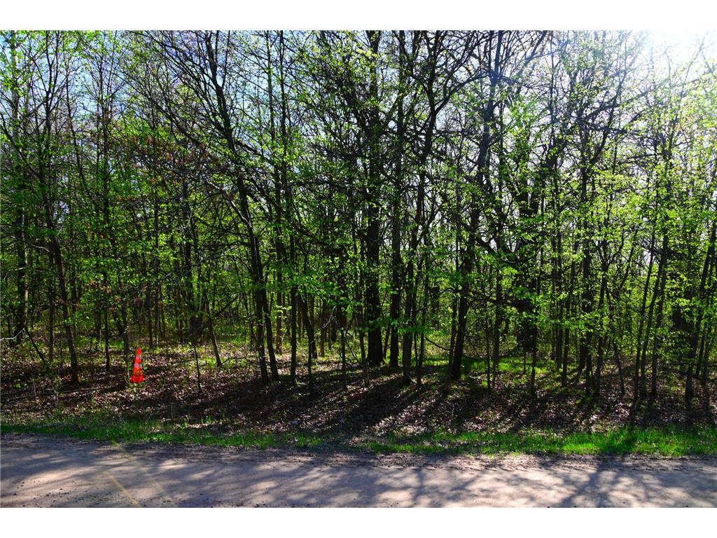 28329 orchard Drive Moran Twp MN 56438 7034499 image6
