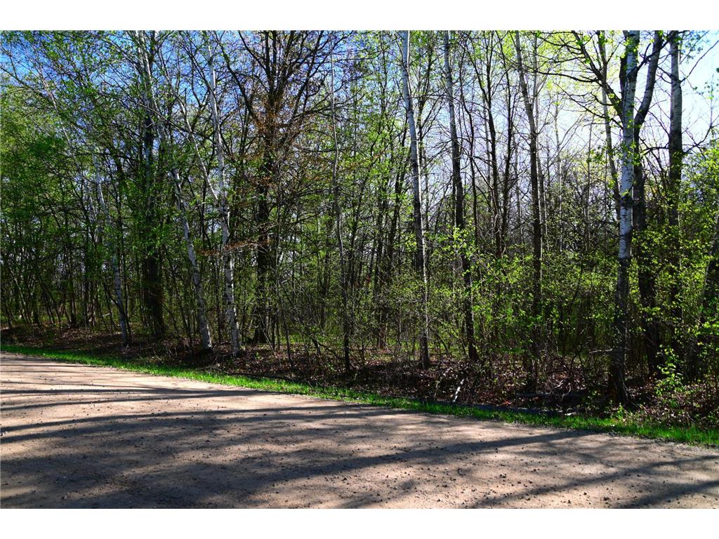 28329 orchard Drive Moran Twp MN 56438 7034499 image7