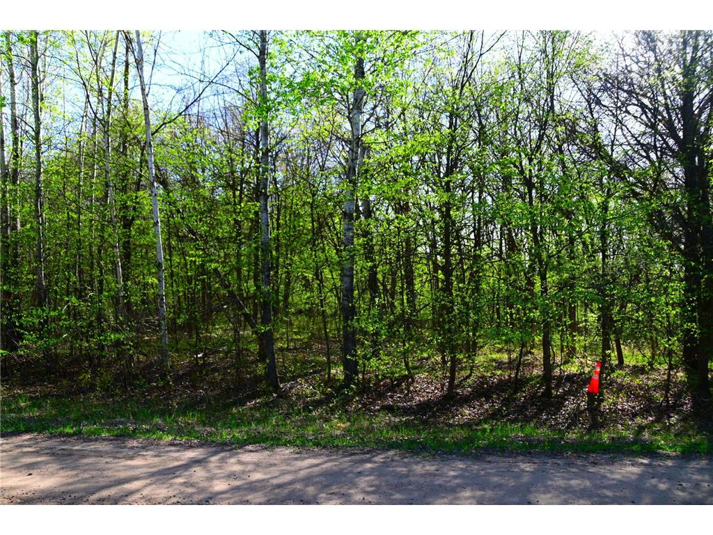 28329 orchard Drive Moran Twp MN 56438 7034499 image8