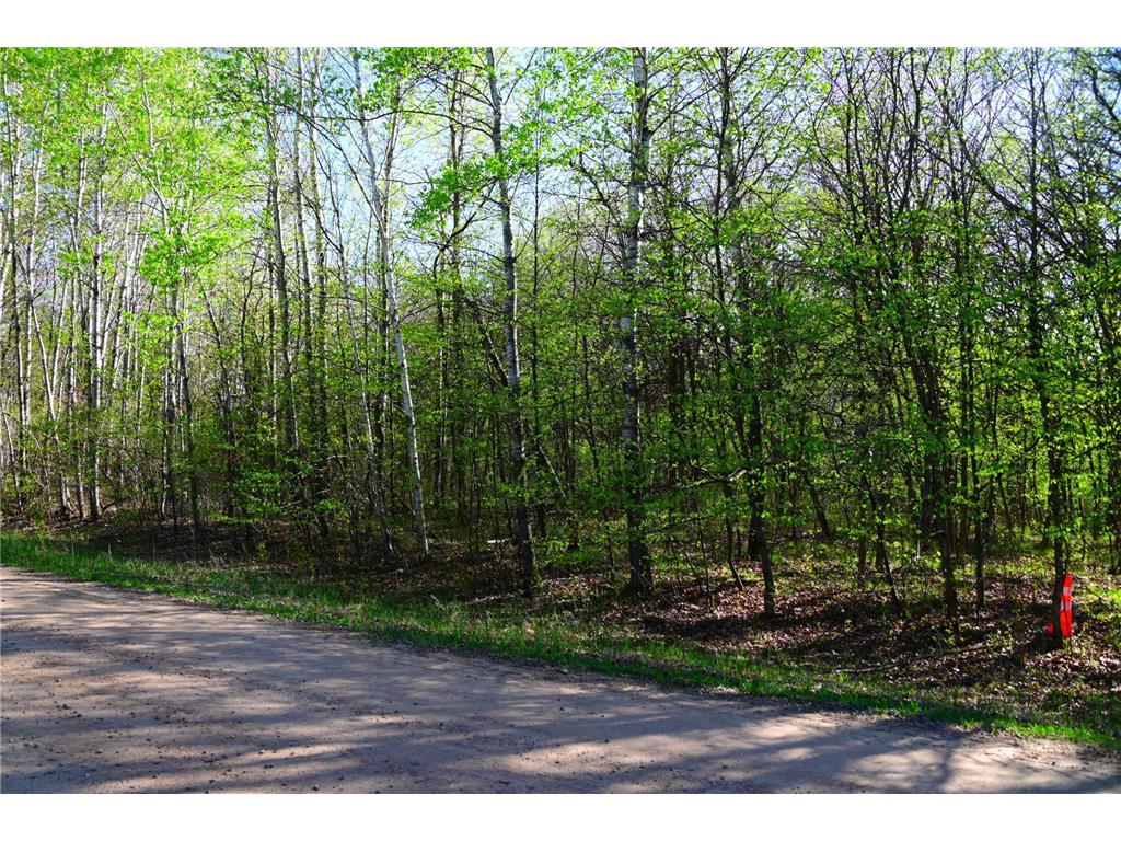 28329 orchard Drive Moran Twp MN 56438 7034499 image9