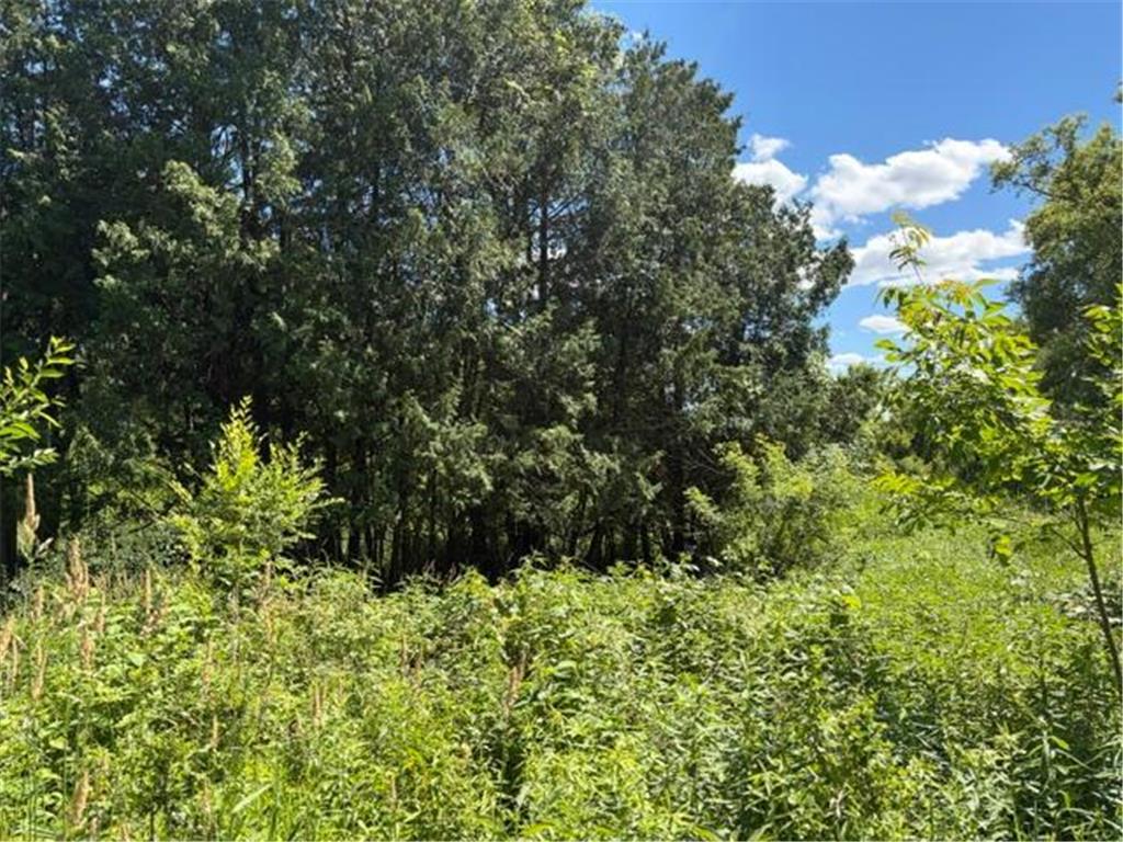 2835 Hadley Valley Road NE Rochester MN 55906 7098781 image4