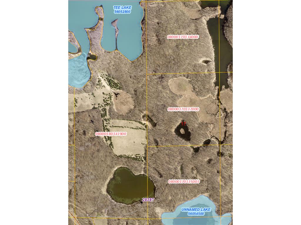 28387 Candor Hall Road Candor Twp MN 56587 - Tee Lake 6803207 image1
