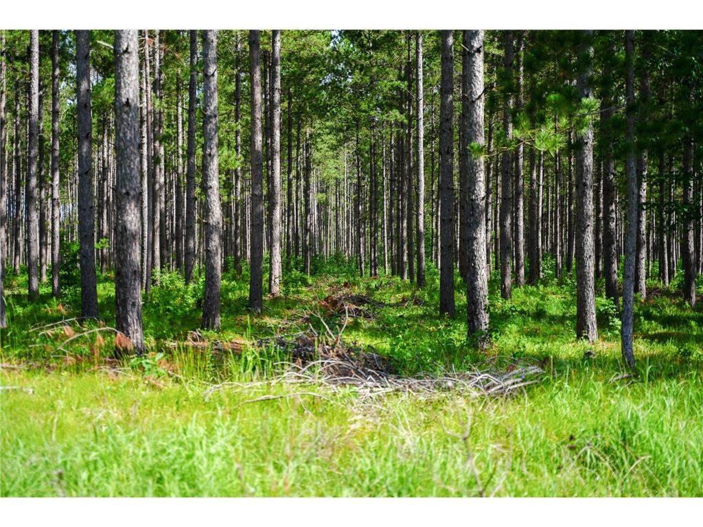 28391 County 109 Badoura Twp MN 56464 7110150 image55
