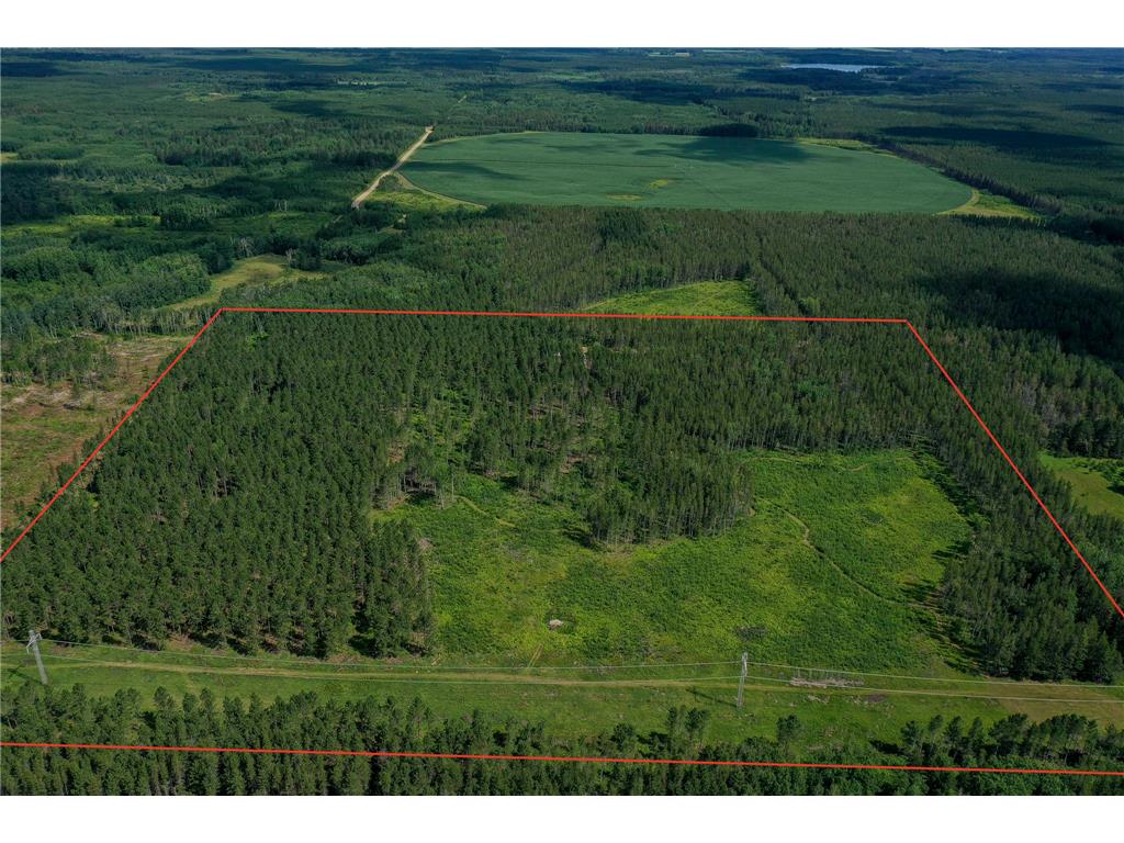 28391 County 109 Badoura Twp MN 56464 7110150 image59