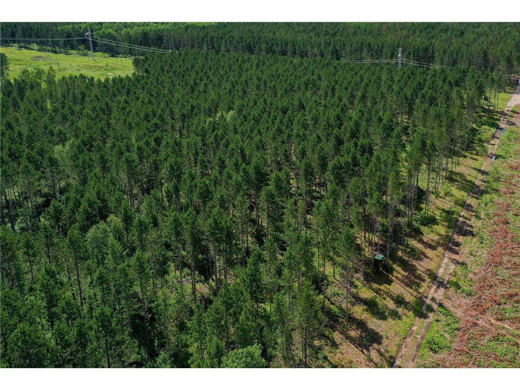 28391 County 109 Badoura Twp MN 56464 7110150 image61