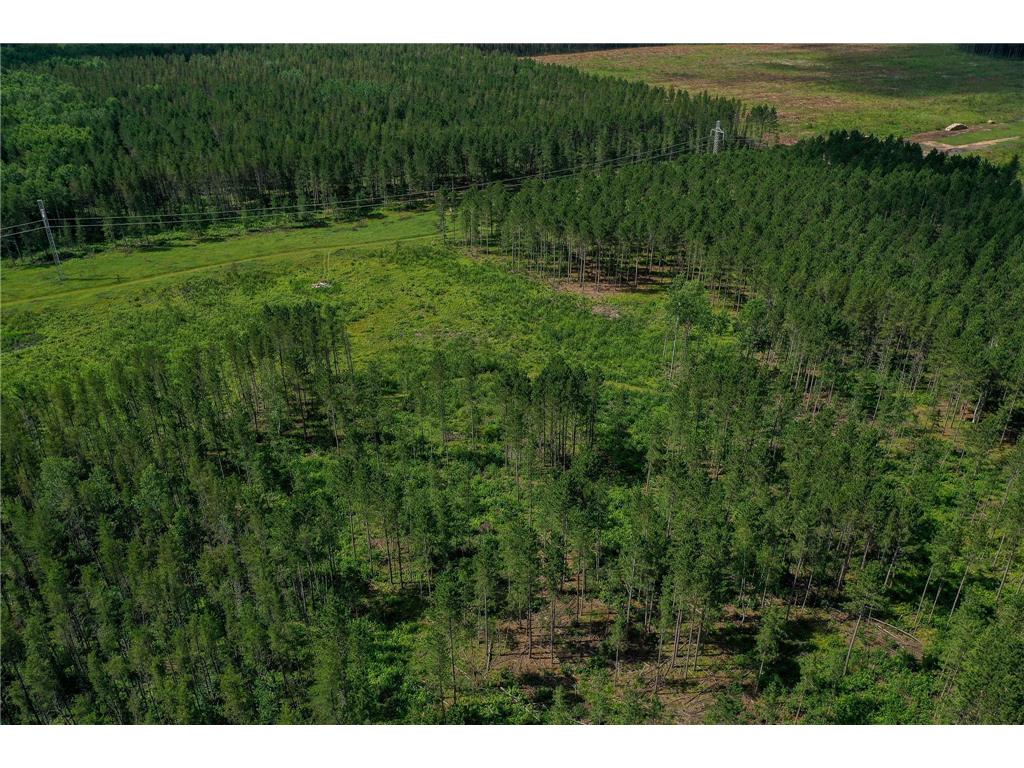 28391 County 109 Badoura Twp MN 56464 7110150 image63