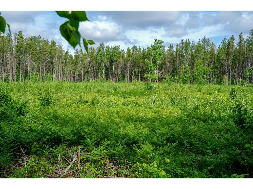 28391 County 109 Badoura Twp MN 56464 7110150 image64