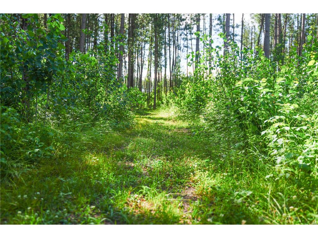 28391 County 109 Badoura Twp MN 56464 7110150 image65