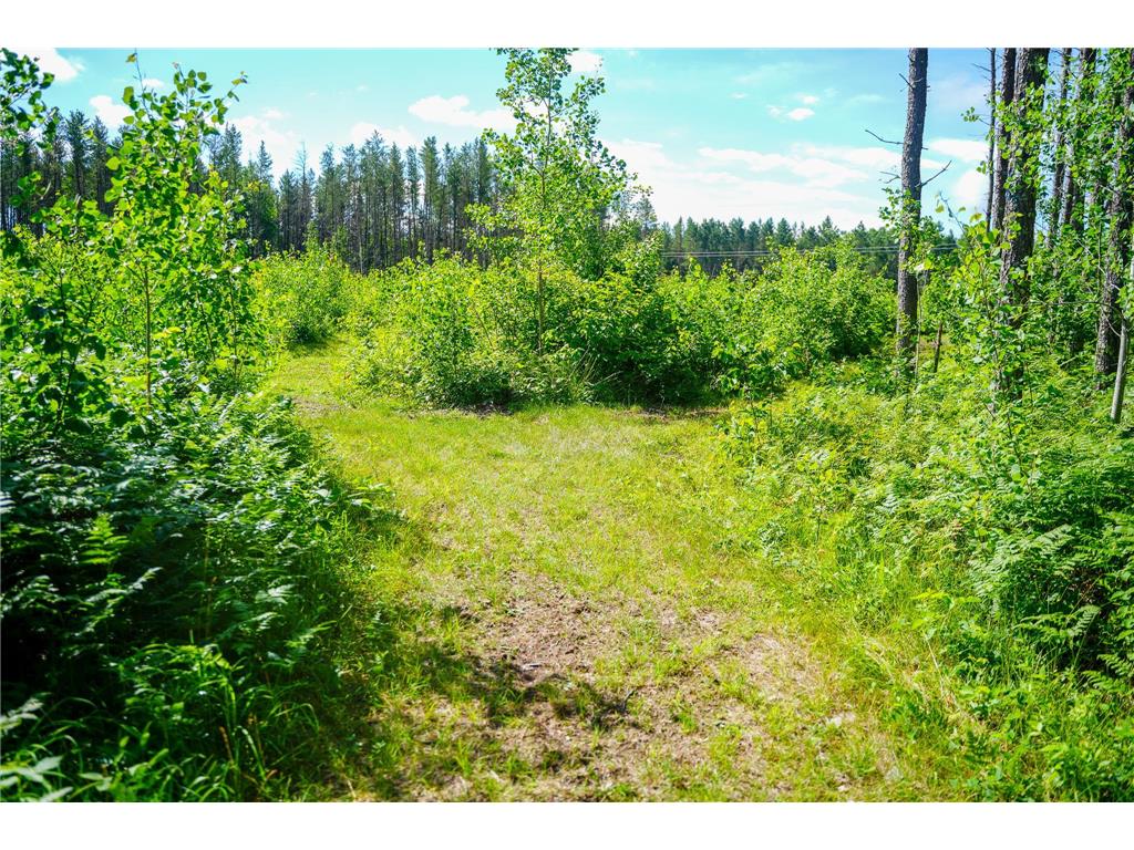 28391 County 109 Badoura Twp MN 56464 7110150 image67