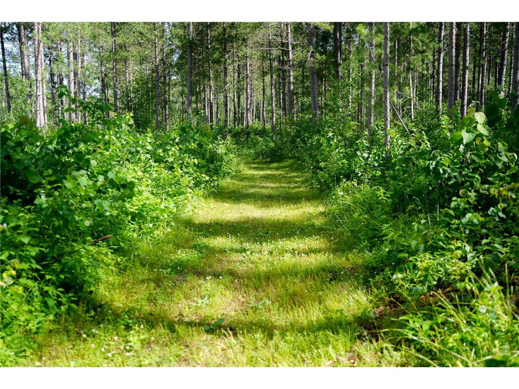 28391 County 109 Badoura Twp MN 56464 7110150 image68
