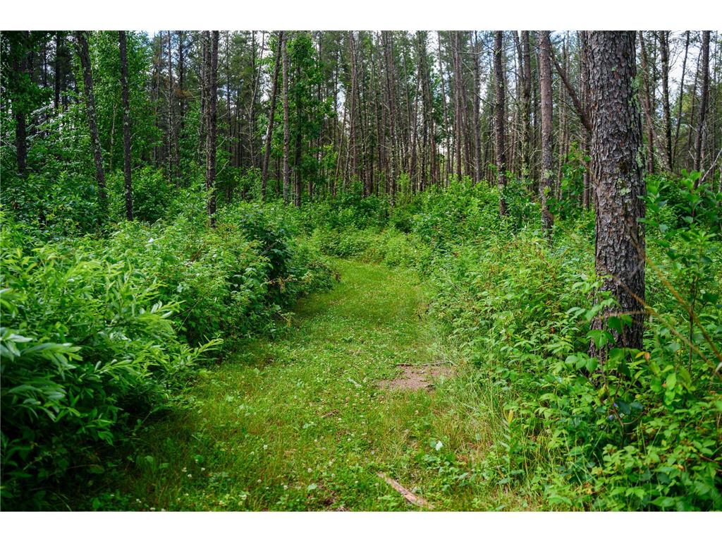 28391 County 109 Badoura Twp MN 56464 7110150 image69