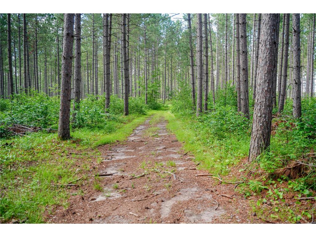 28391 County 109 Badoura Twp MN 56464 7110150 image70