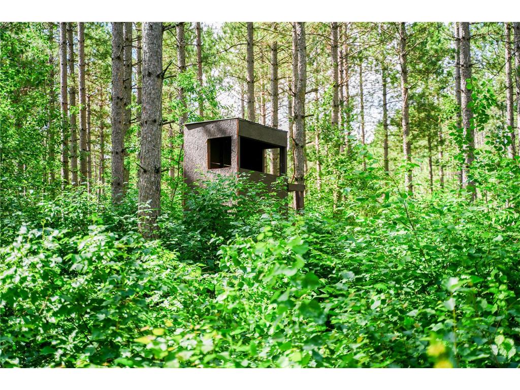 28391 County 109 Badoura Twp MN 56464 7110150 image81