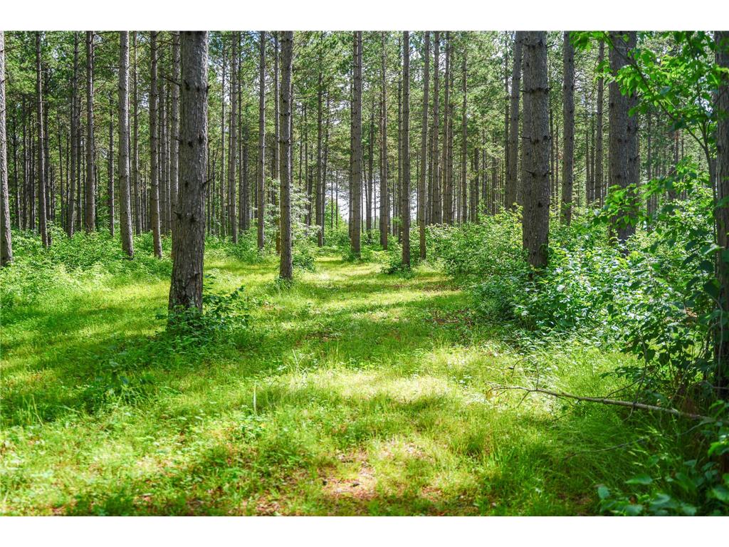 28391 County 109 Badoura Twp MN 56464 7110150 image82