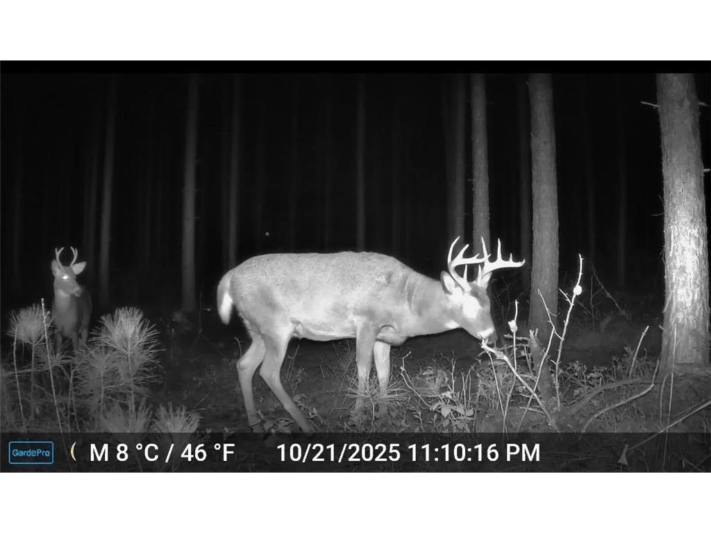 28391 County 109 Badoura Twp MN 56464 7110150 image83