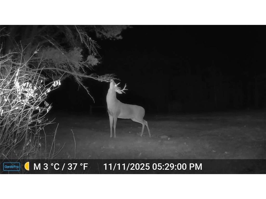 28391 County 109 Badoura Twp MN 56464 7110150 image84
