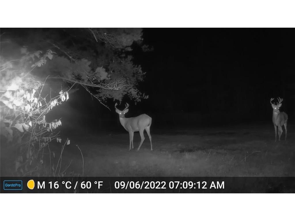 28391 County 109 Badoura Twp MN 56464 7110150 image85