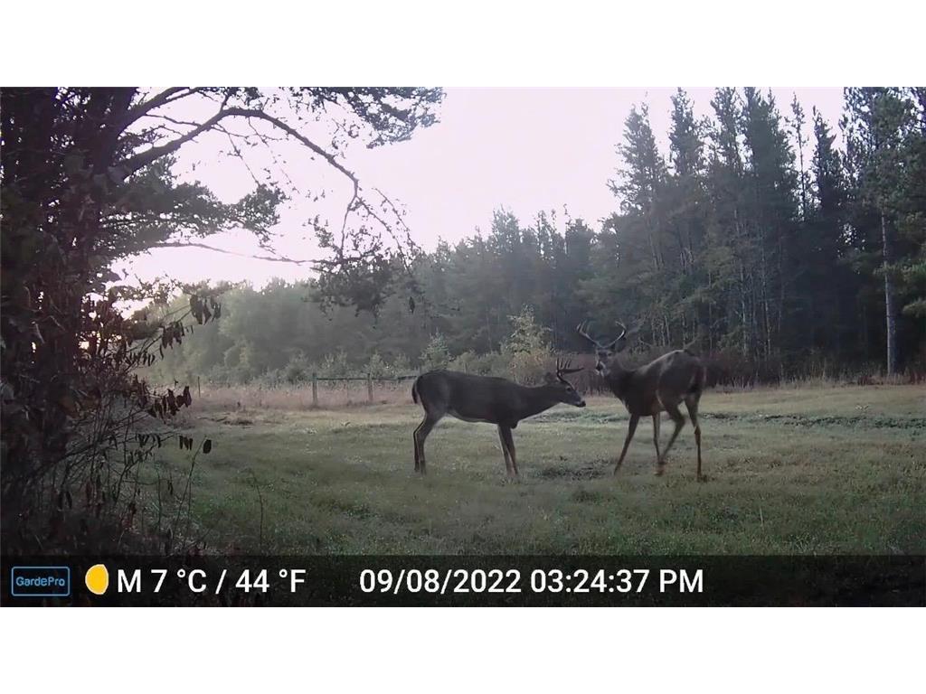 28391 County 109 Badoura Twp MN 56464 7110150 image86