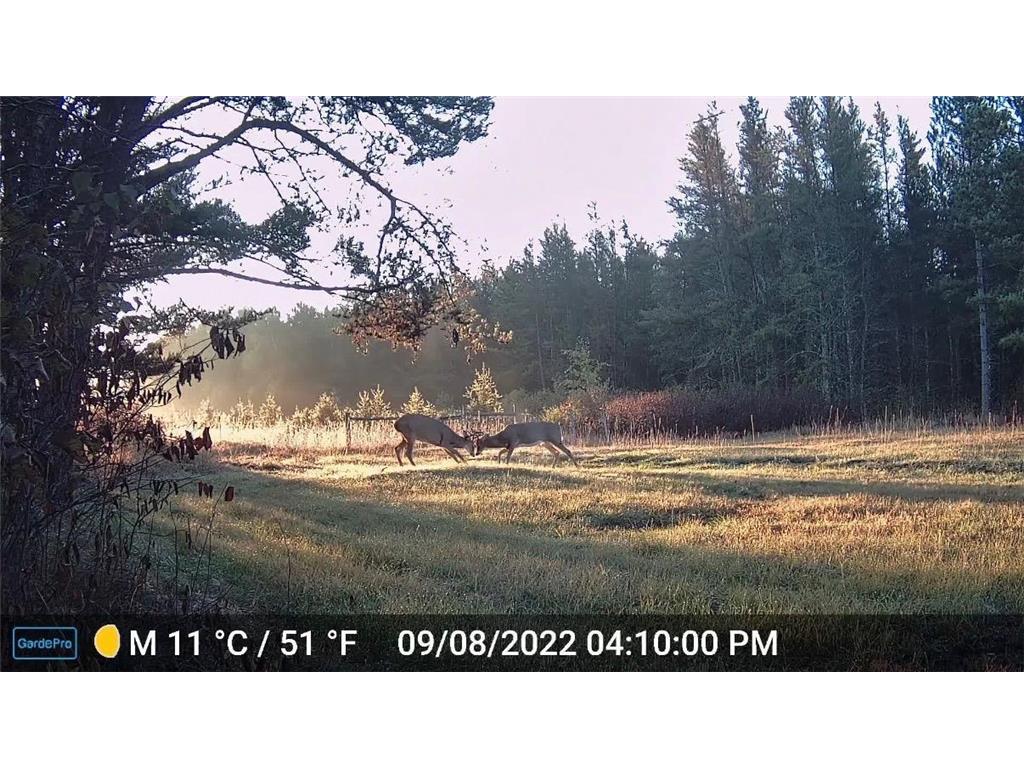 28391 County 109 Badoura Twp MN 56464 7110150 image88