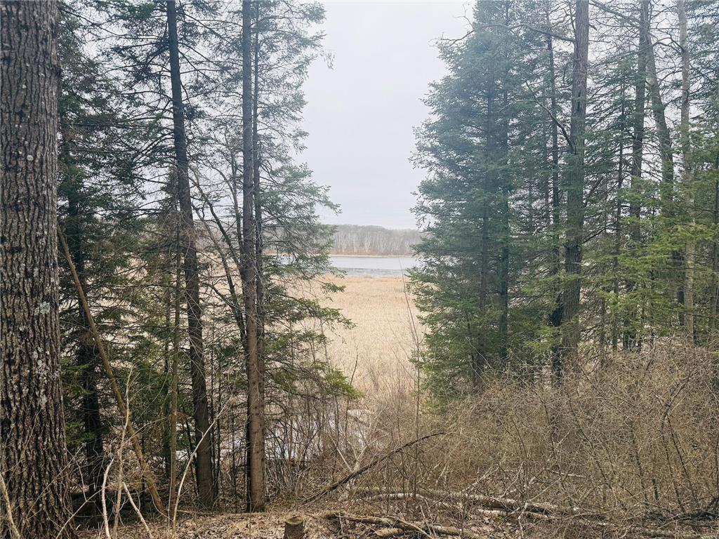 28393 Sunrise Circle Peace Twp MN 55007 6694119 image1