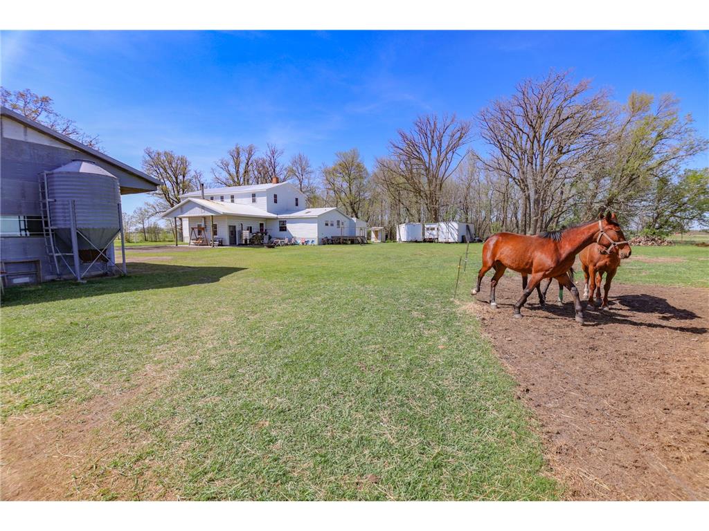 28396 570th Avenue Deer Creek Twp MN 56527 7075443 image17