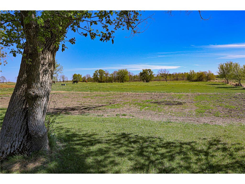 28396 570th Avenue Deer Creek Twp MN 56527 7075443 image4
