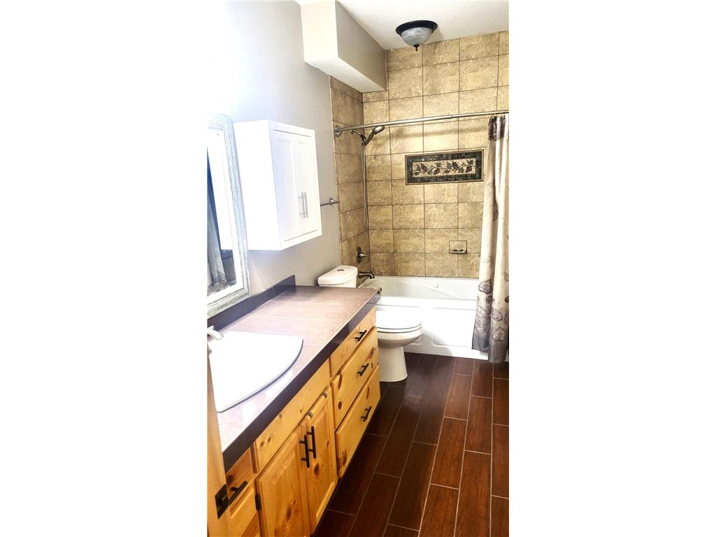 28399 Mayo Hills Road Pequot Lakes MN 56472 - Mayo 7053709 image15