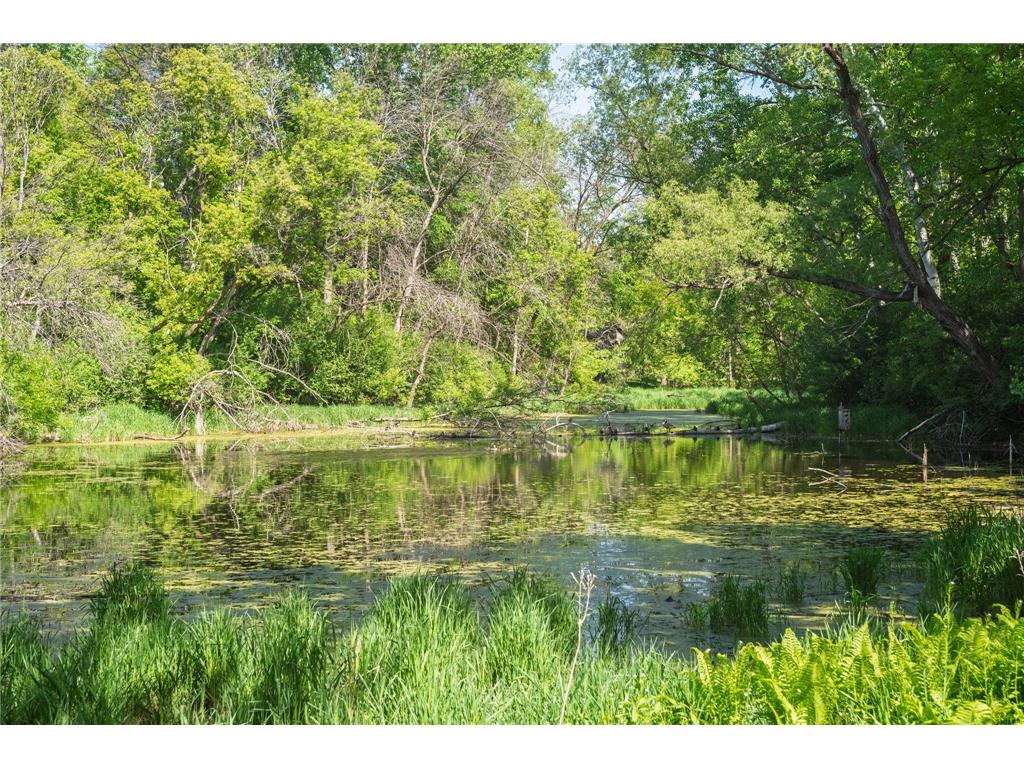 2840 Mayflower Avenue Minnetonka MN 55305 7079869 image42