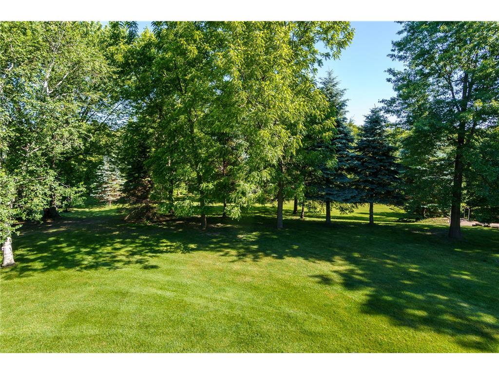 2841 Imperial Avenue N Lake Elmo MN 55042 7112797 image8