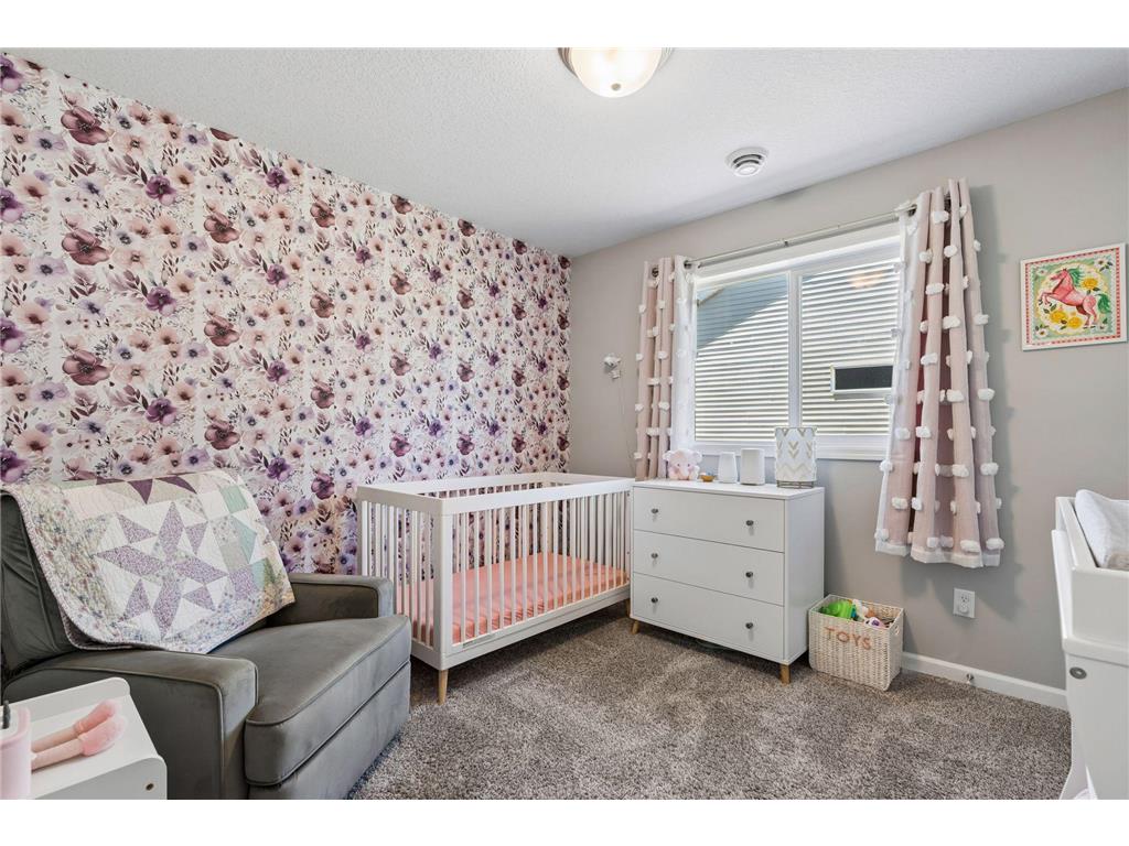 2842 Jaber Avenue NE Saint Michael MN 55376 7075653 image21