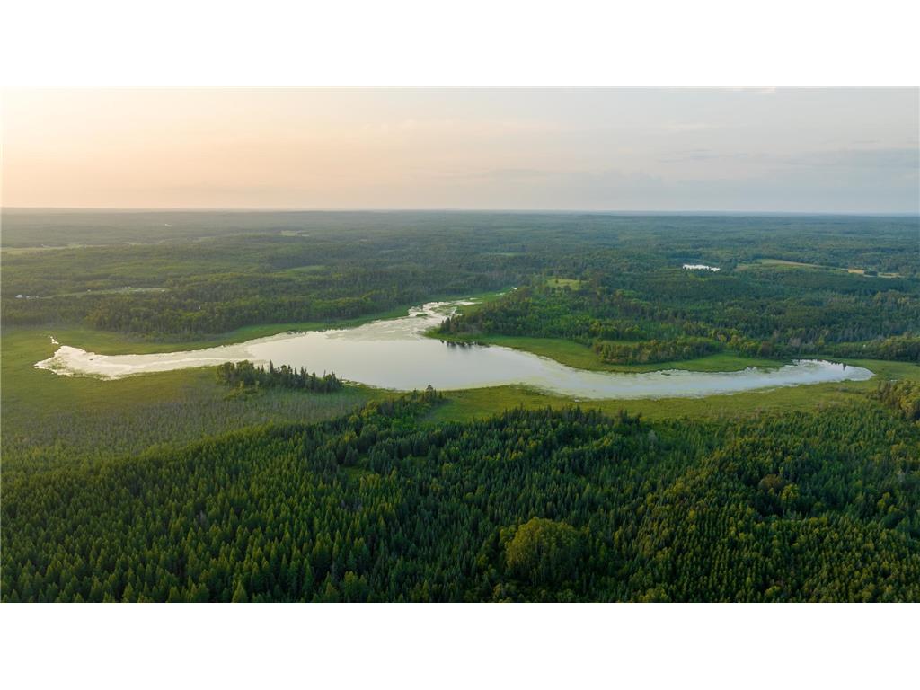 28465 County 89 Park Rapids MN 56470 - Rose 6411361 image1