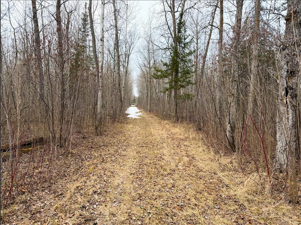 28465 Highway 71 NE Hornet Twp MN 56630 7045898 image48