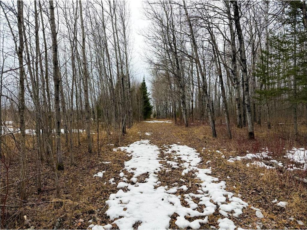 28465 Highway 71 NE Hornet Twp MN 56630 7045898 image49