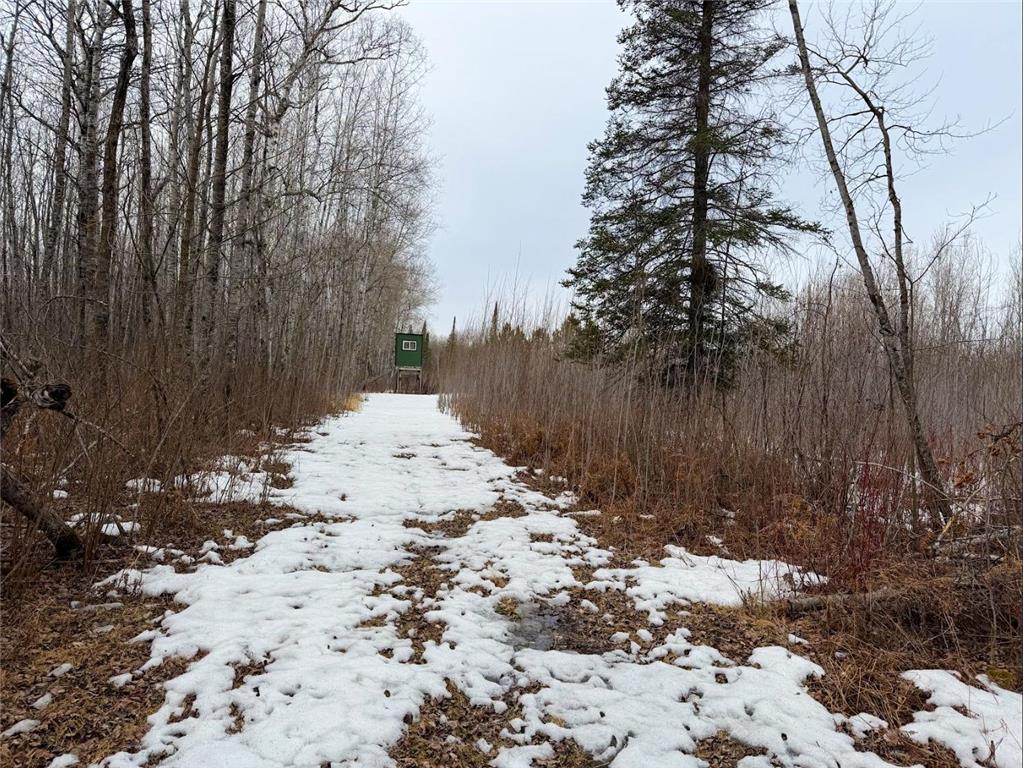 28465 Highway 71 NE Hornet Twp MN 56630 7045898 image52
