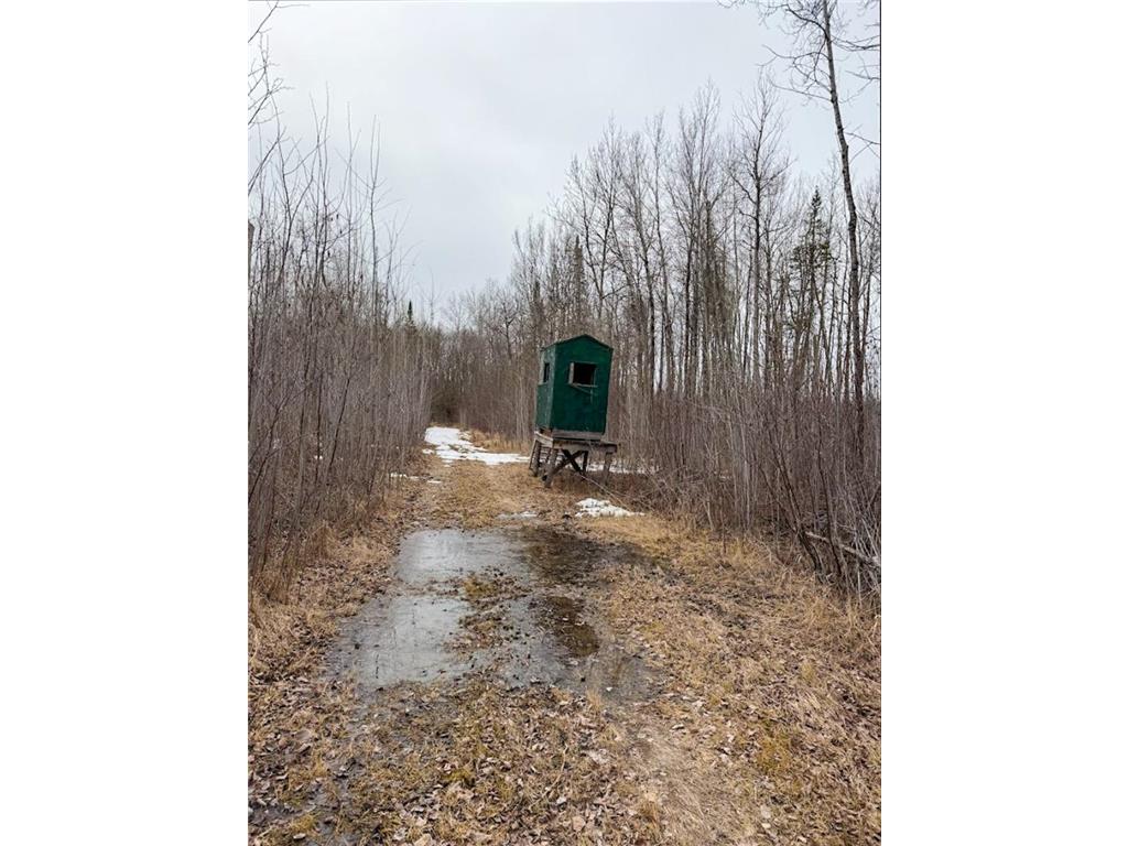 28465 Highway 71 NE Hornet Twp MN 56630 7045898 image53