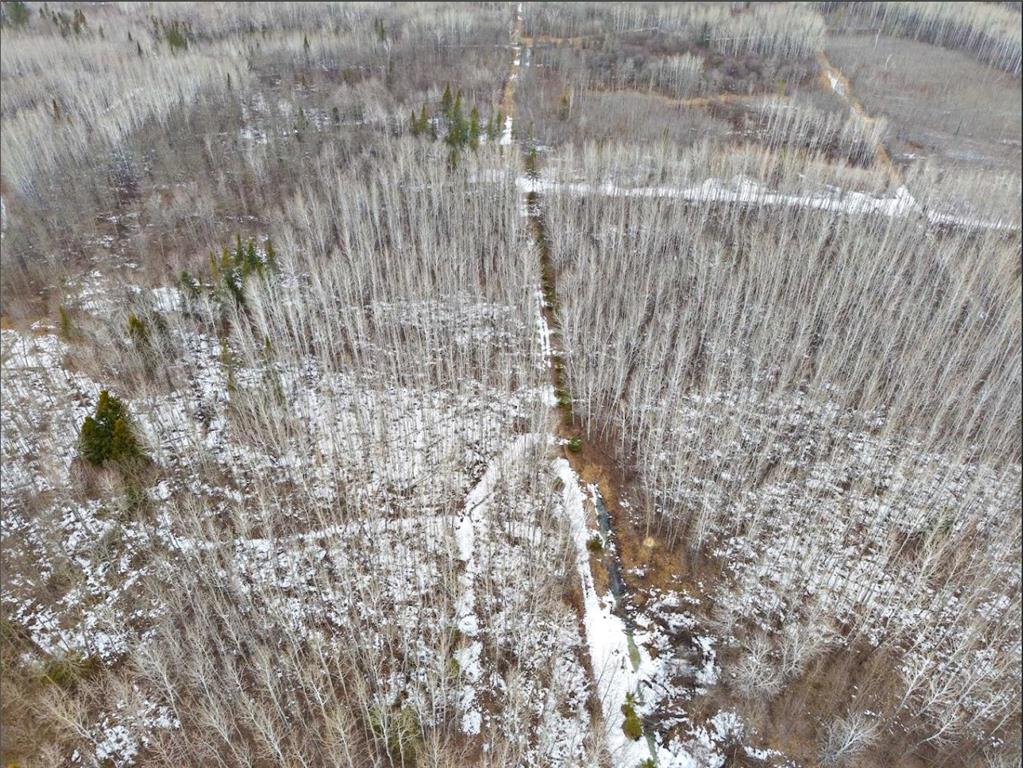 28465 Highway 71 NE Hornet Twp MN 56630 7045898 image55