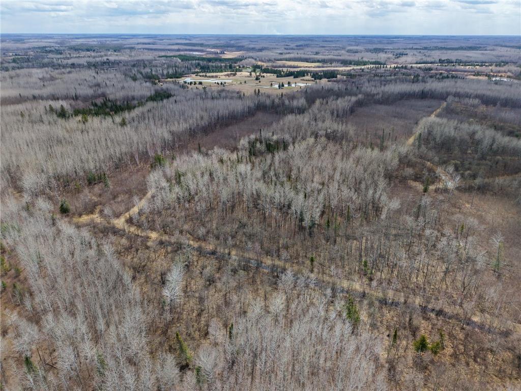 28465 Highway 71 NE Hornet Twp MN 56630 7045898 image65