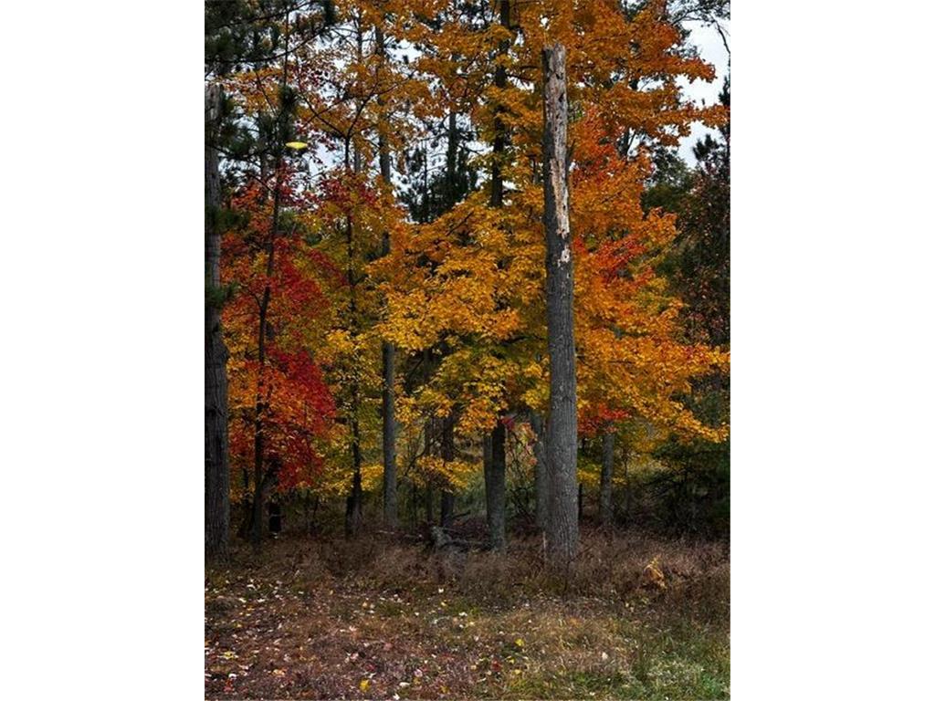 28478 Jesse Ryan Court Jackson Twp WI 54830 7021772 image12