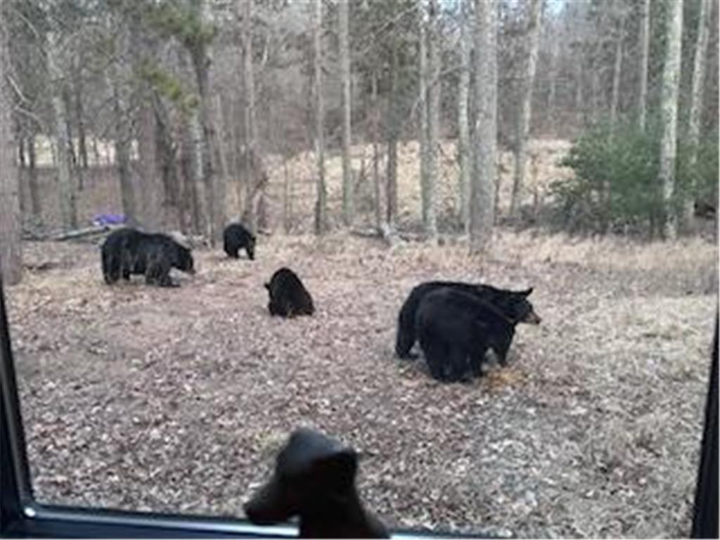 28478 Jesse Ryan Court Jackson Twp WI 54830 7021772 image13