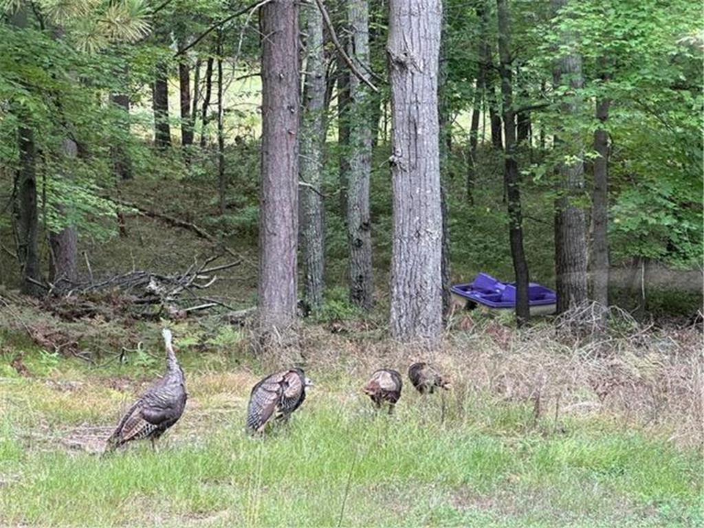 28478 Jesse Ryan Court Jackson Twp WI 54830 7021772 image51