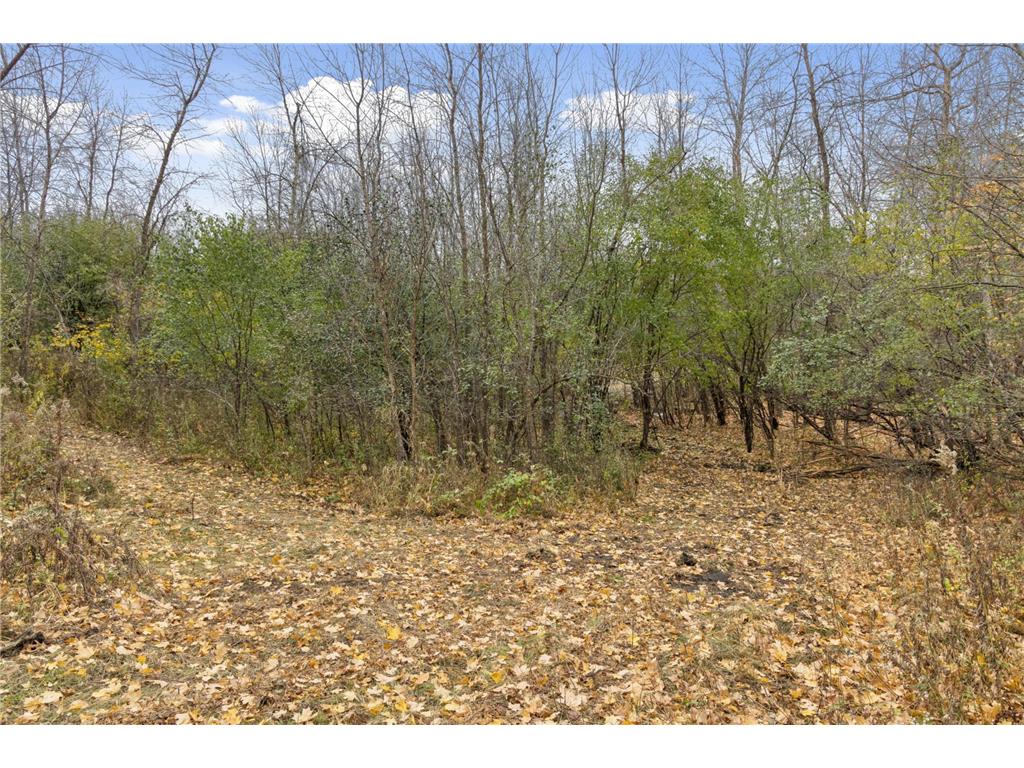 285 B N Old Crystal Bay Road Orono MN 55356 6816642 image15