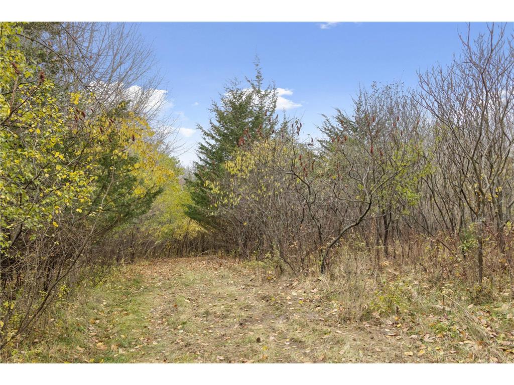 285 B N Old Crystal Bay Road Orono MN 55356 7020403 image21